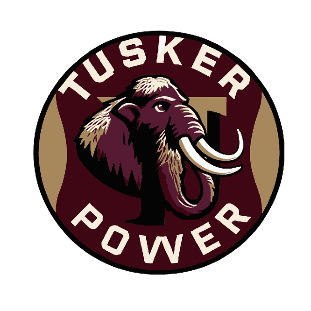 Conheça a Tusker Power, equipe da F1 in Schools e nossa parceira